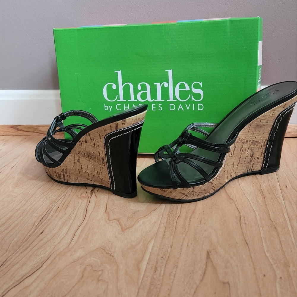 Charles by Charles David wedge sandals
